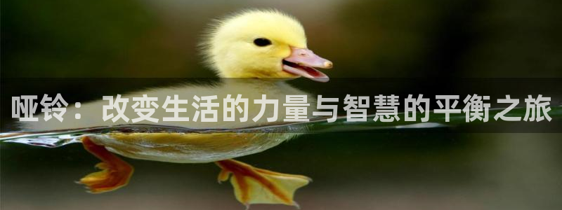 风速体育NBA：哑铃：改变生活的力量与智慧的平衡之旅