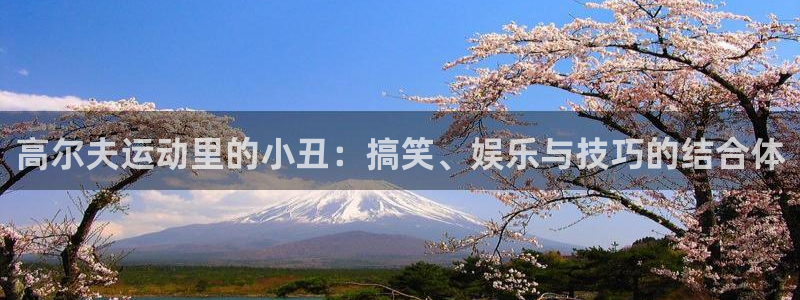 风速体育老板是谁：高尔夫运动里的小丑：搞笑、娱乐与技巧的结合体
