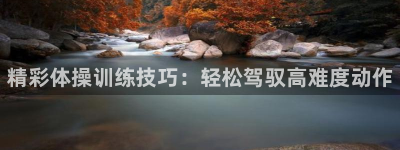 风速体育app：精彩体操训练技巧：轻松驾驭高难度动作