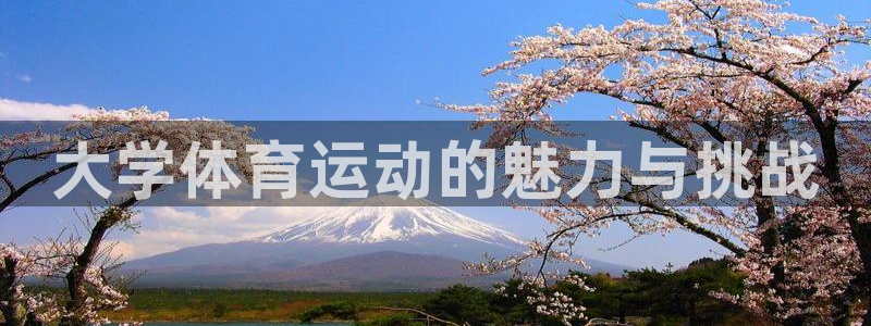 风速体育cba：大学体育运动的魅力与挑战