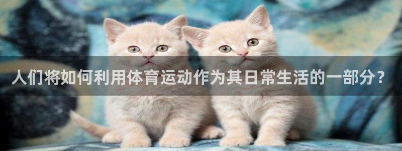 风速体育直播app：人们将如何利用体育运动作为其日常生活的一部分？